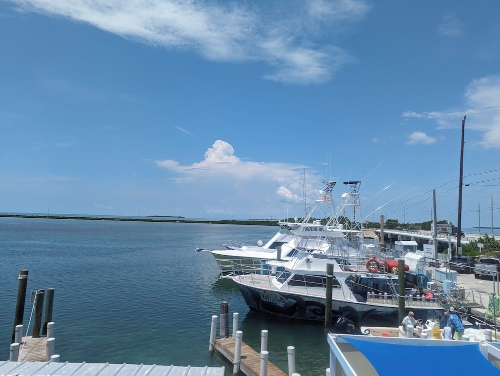 Bud N' Mary's Fishing Marina - photo 45