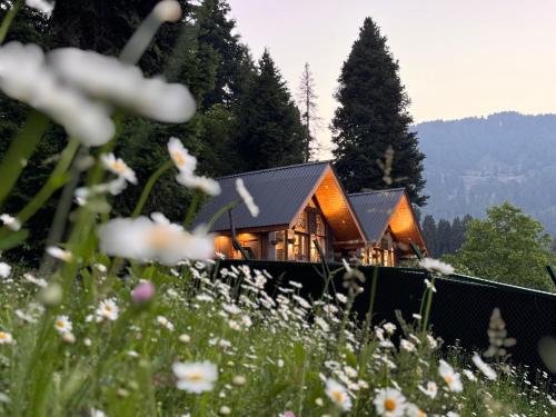 Solomons Gray - carbon neutral hotel in Unknown City