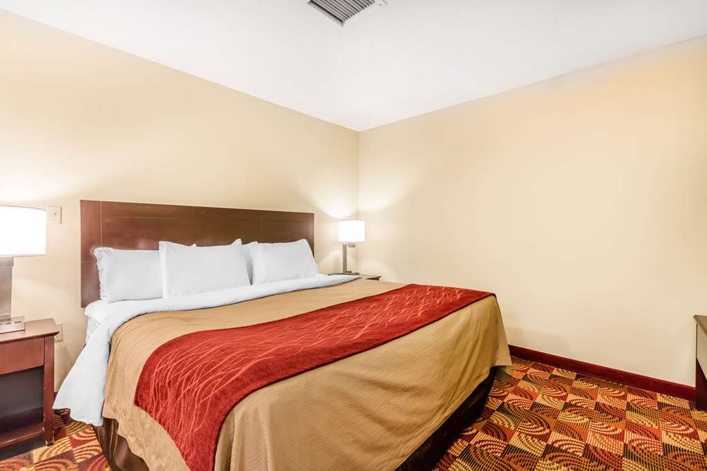 Comfort Inn & Suites Jasper Hwy 78 West - photo 28