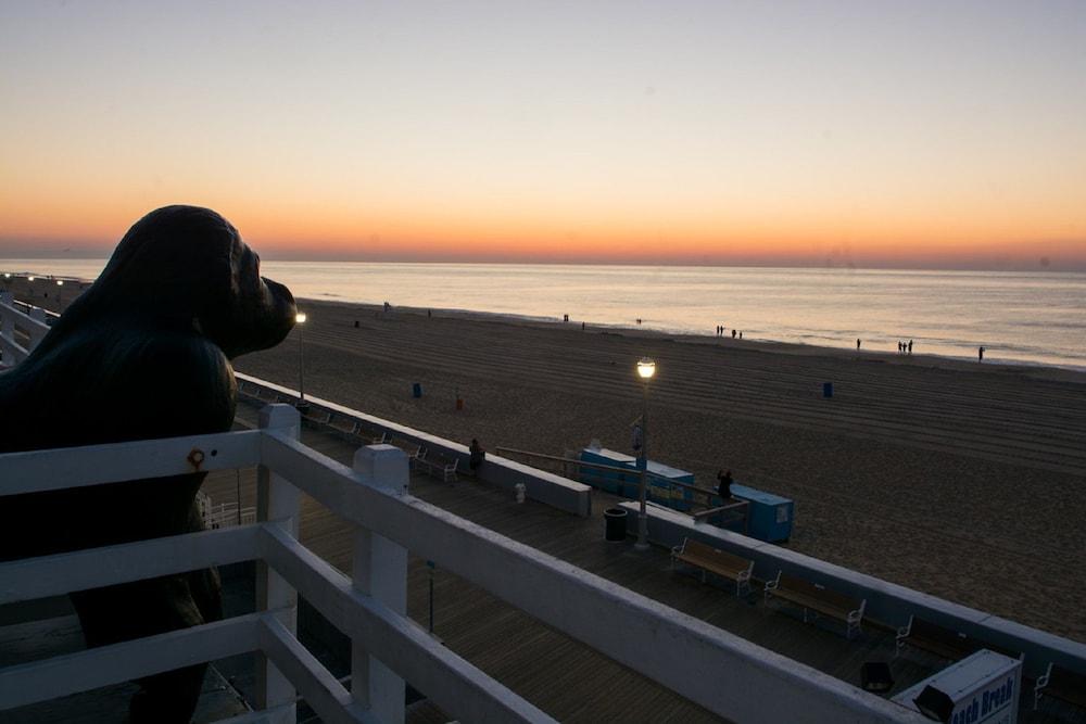 Safari Hotel Boardwalk - photo 41