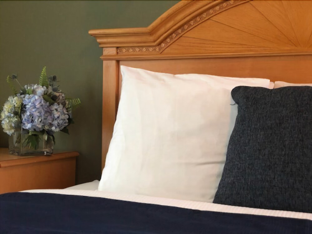 Heron Suites - photo 6