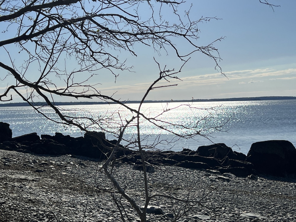 The High Tide Inn - photo 149
