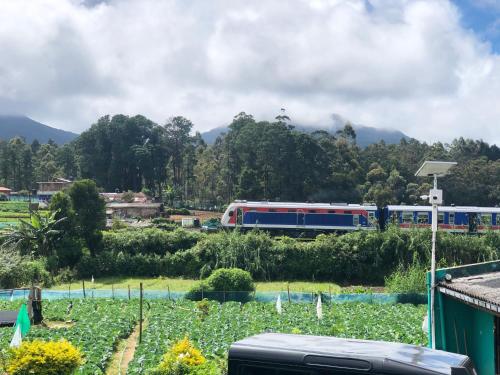 Misty5 - last minute hotel in Nuwara Eliya