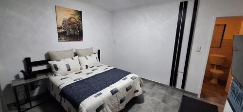 The Big 5 Leopard in Randburg, South Africa