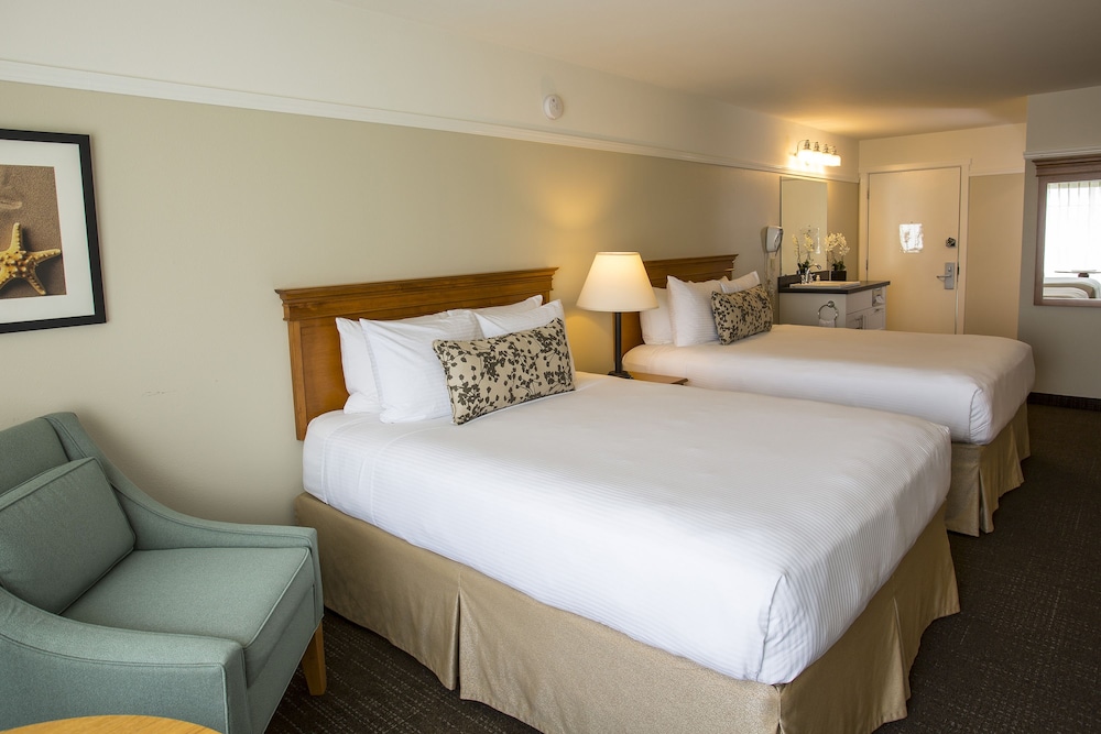 Looking Glass Inn - photo 3