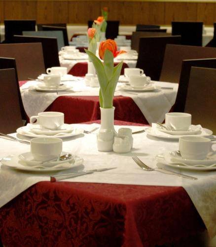 Airport Hotel Kelsterbach — hotel in Kelsterbach