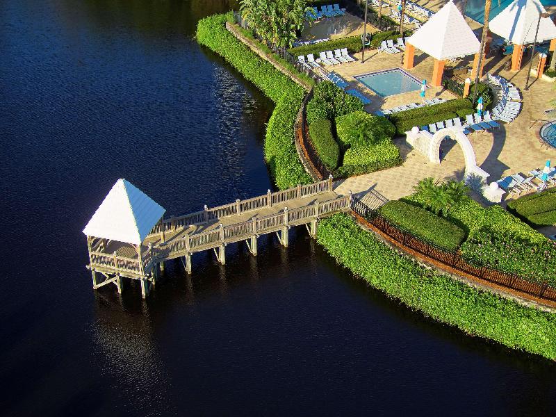 Hilton Grand Vacations Club SeaWorld Orlando - photo 4