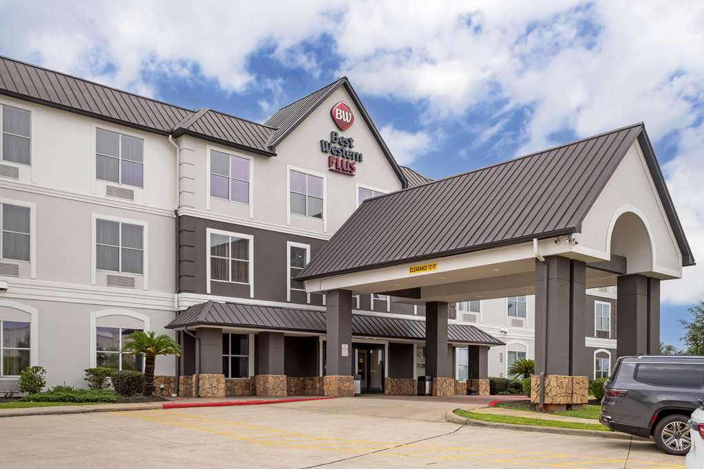 Best Western Plus Hobby Airport Inn & Suites - photo 10