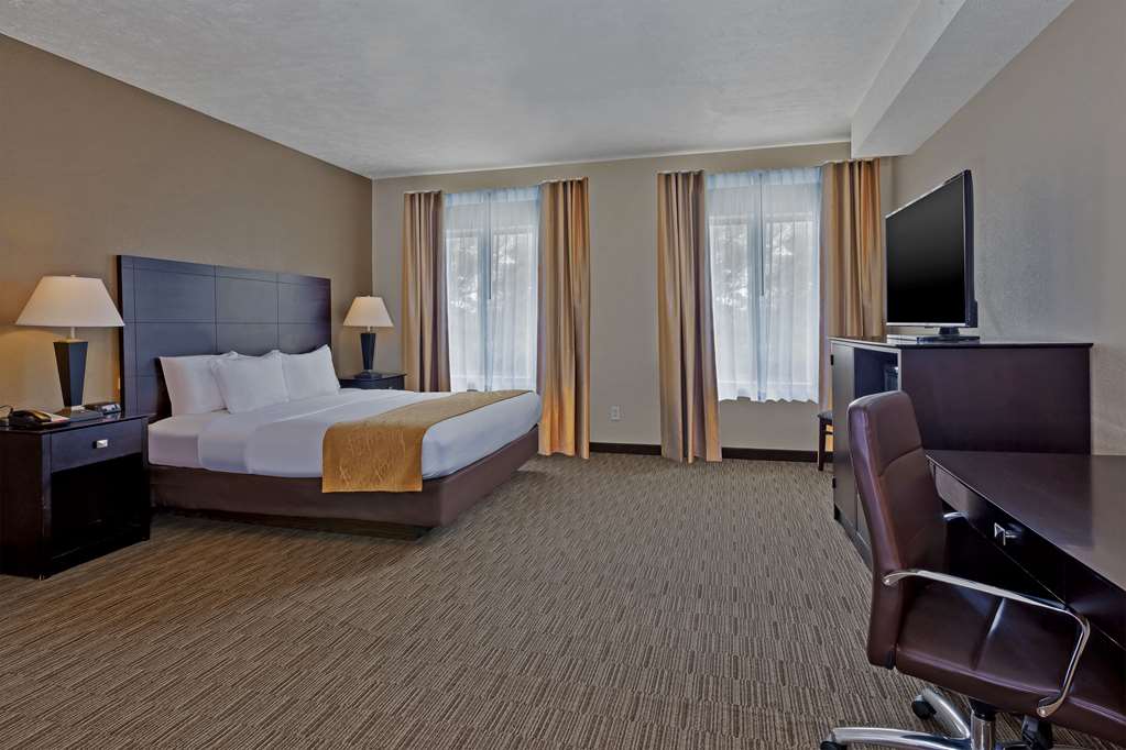 Comfort Inn Whitehall near Michigan's Adventure - photo 13