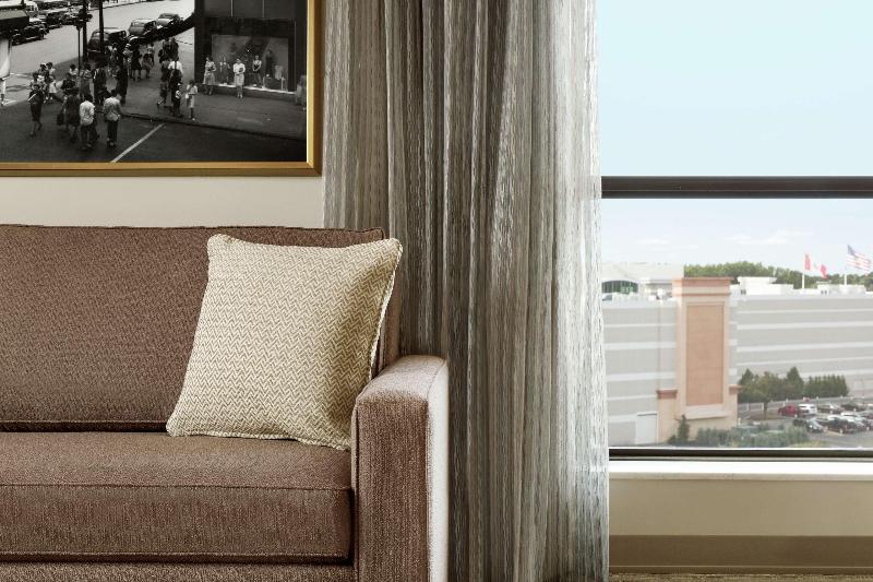 Embassy Suites by Hilton Syracuse Destiny USA - photo 43