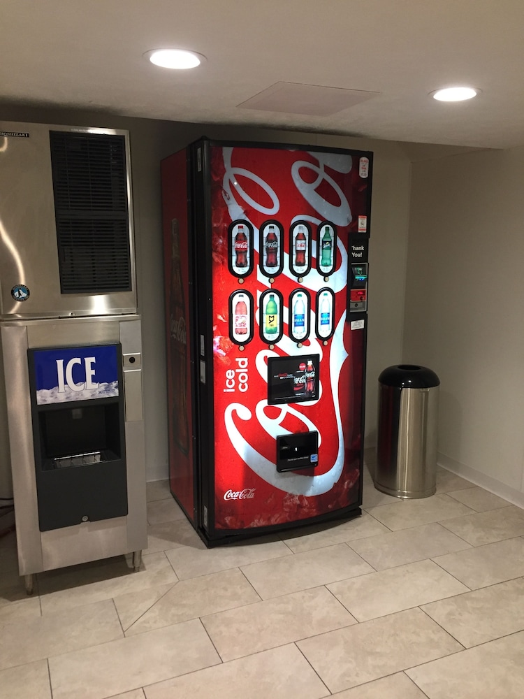 Ivy Court Inn & Suites - photo 33
