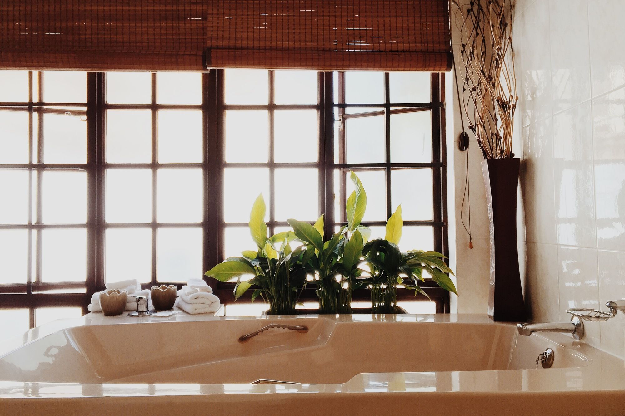 Coral Tree Inn Hotel