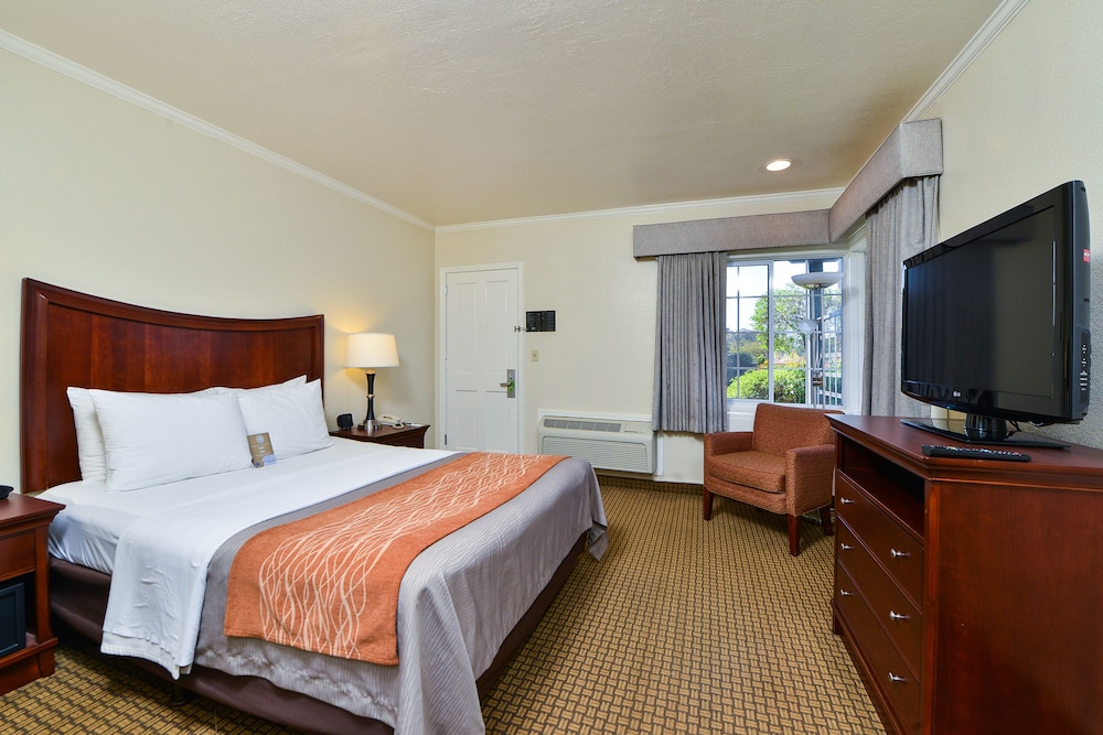 Blu Pacific Hotel - photo 13