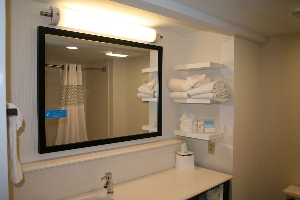 Hampton Inn Birch Run Frankenmuth - photo 14