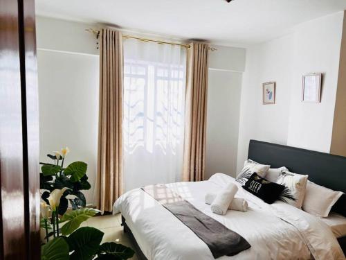 Phares 1 Bedroom Apartment Garden Estate Nairobi
