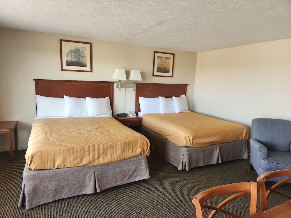 Royal Motel - photo 19