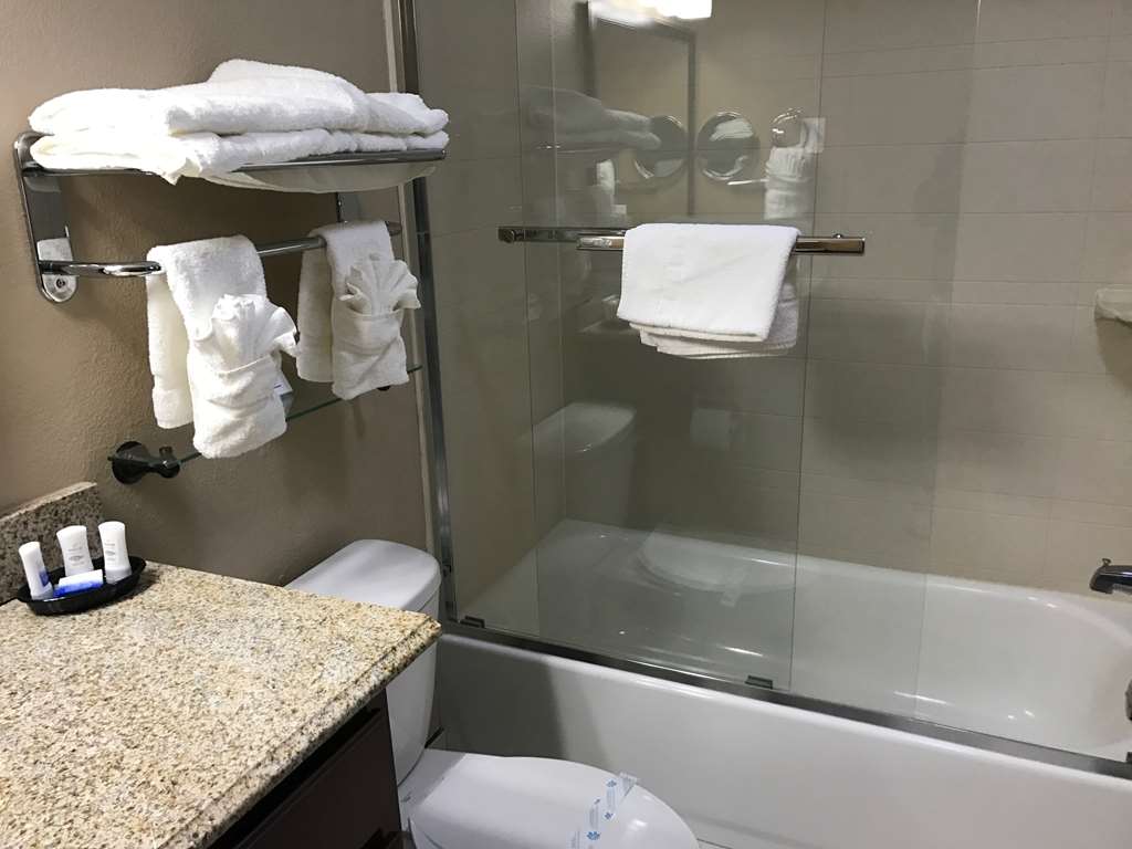 Best Western Plus Crawfordsville Hotel - photo 27