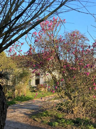 Slowflower - carbon neutral hotel in Ophemert