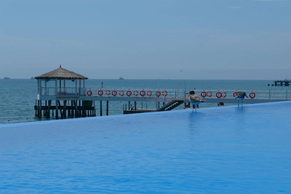 Apartamento Frente a Islas Ballestas — 4-Star Luxury Hotel in Paracas, Peru