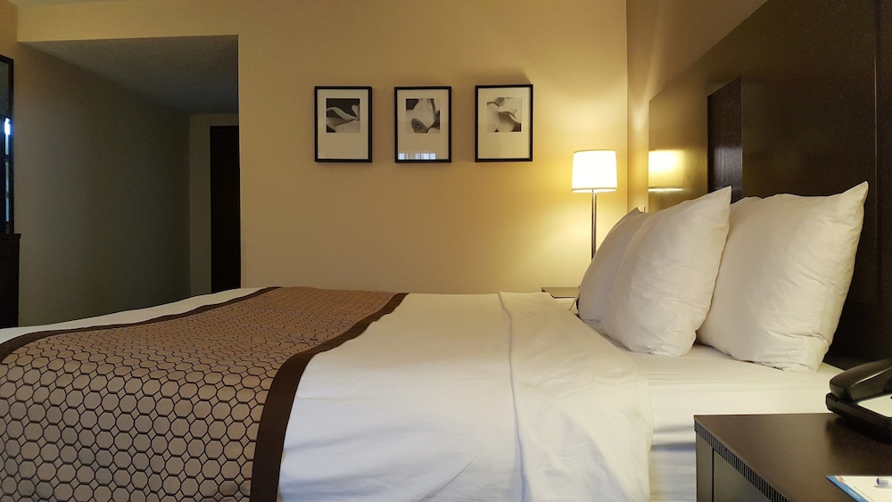 Baymont by Wyndham Belleville Airport Area - photo 10