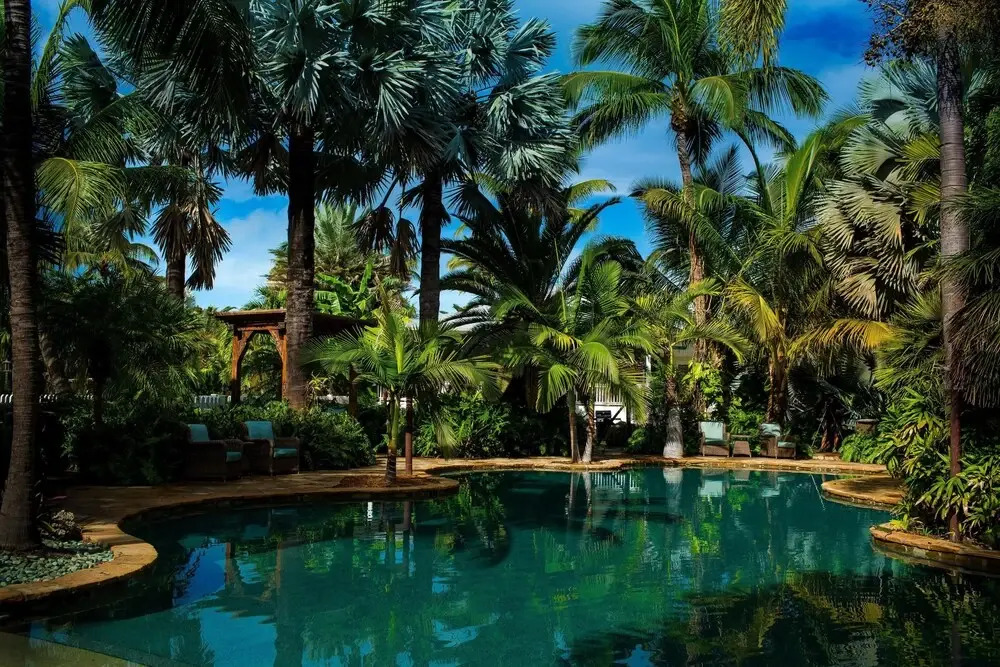 The Caribbean Resort Bird of Paradise One Bedroom One Bath - photo 13