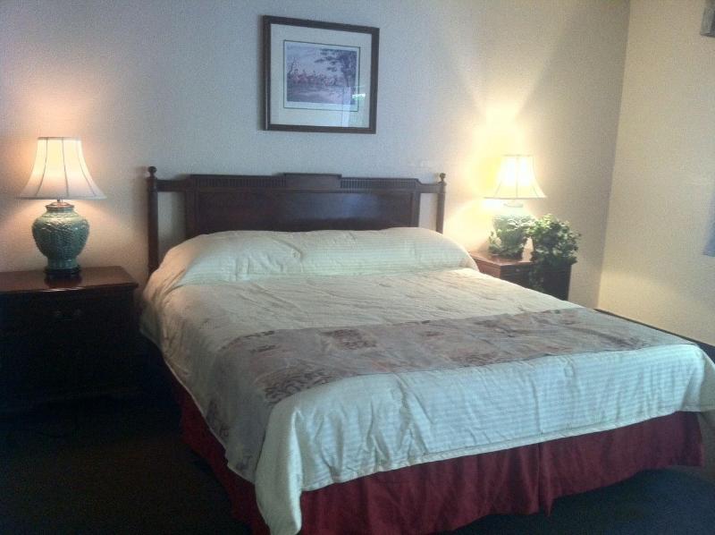 Caravelle Inn Suites - photo 36