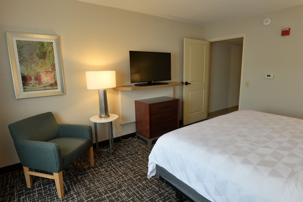 Holiday Inn Hotel & Suites Minneapolis Lakeville an IHG Hotel - photo 3