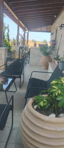 Rodiola House — Afytos — photo 4