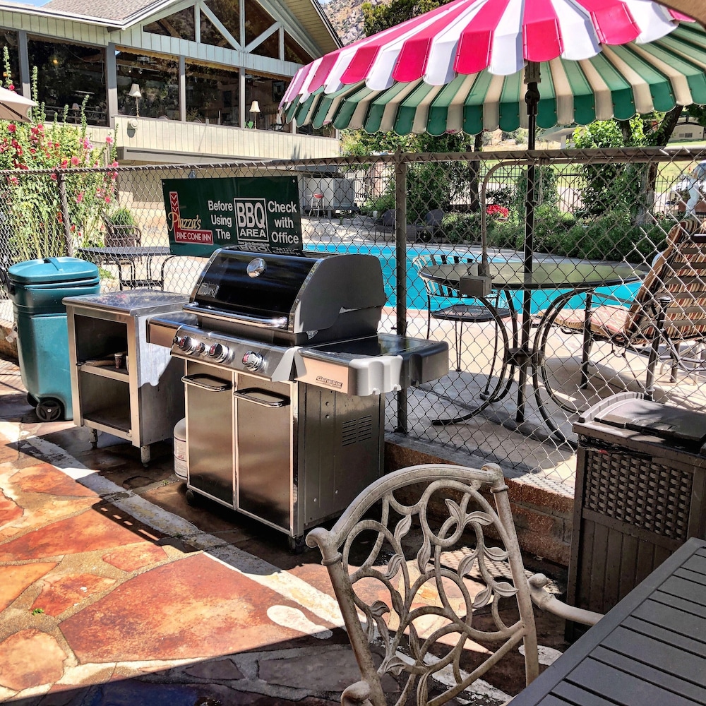 Piazza's Pine Cone Inn - photo 23