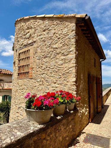 Historical Tower Tamerò Estates in Casperia, Italy