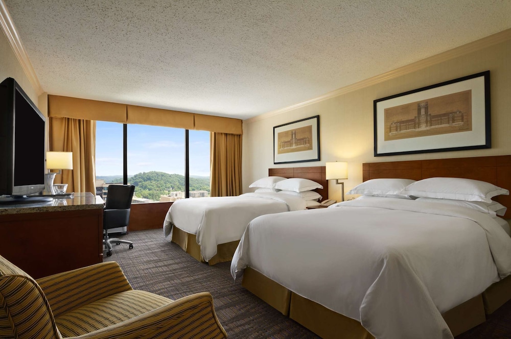 Hilton Knoxville - photo 5