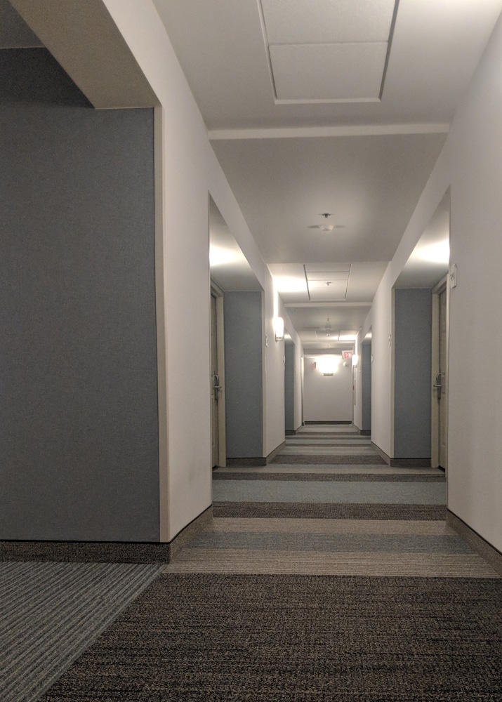 Hilton Garden Inn Chicago North Shore Evanston - photo 64