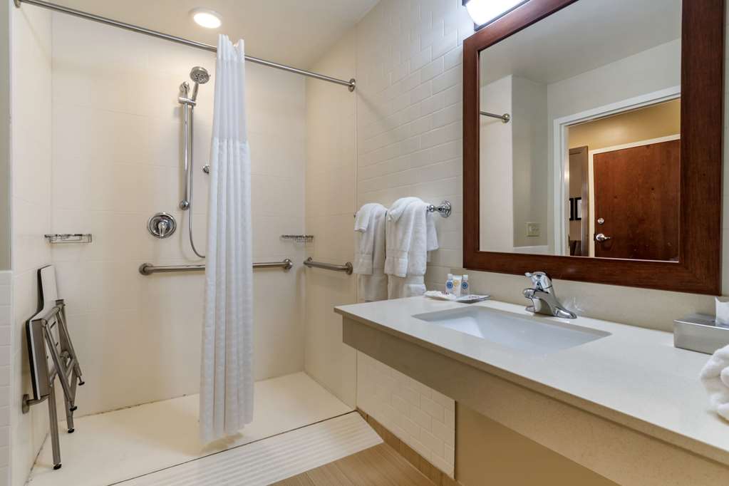 Comfort Suites Manheim Lancaster - photo 15