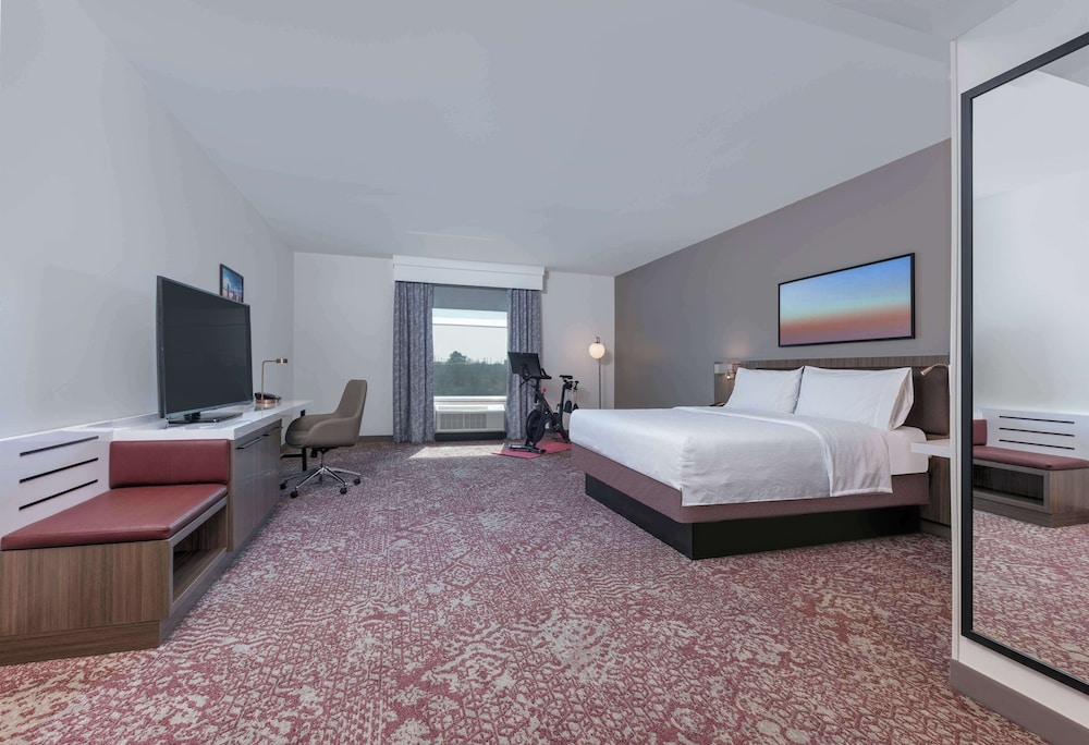 Hilton Garden Inn Dallas Arlington - photo 15