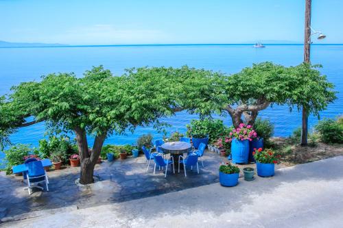 Apanemo Seaside Villa Pitsa — 4-Star Luxury Hotel in Andros, Greece
