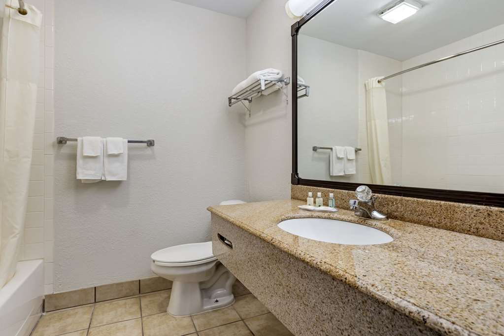 Quality Inn & Suites NRG Park Medical Center - photo 8