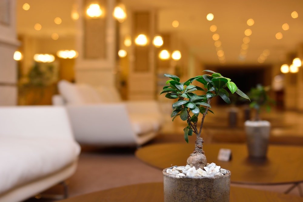 Батуми: Отель The Grand Gloria Hotel