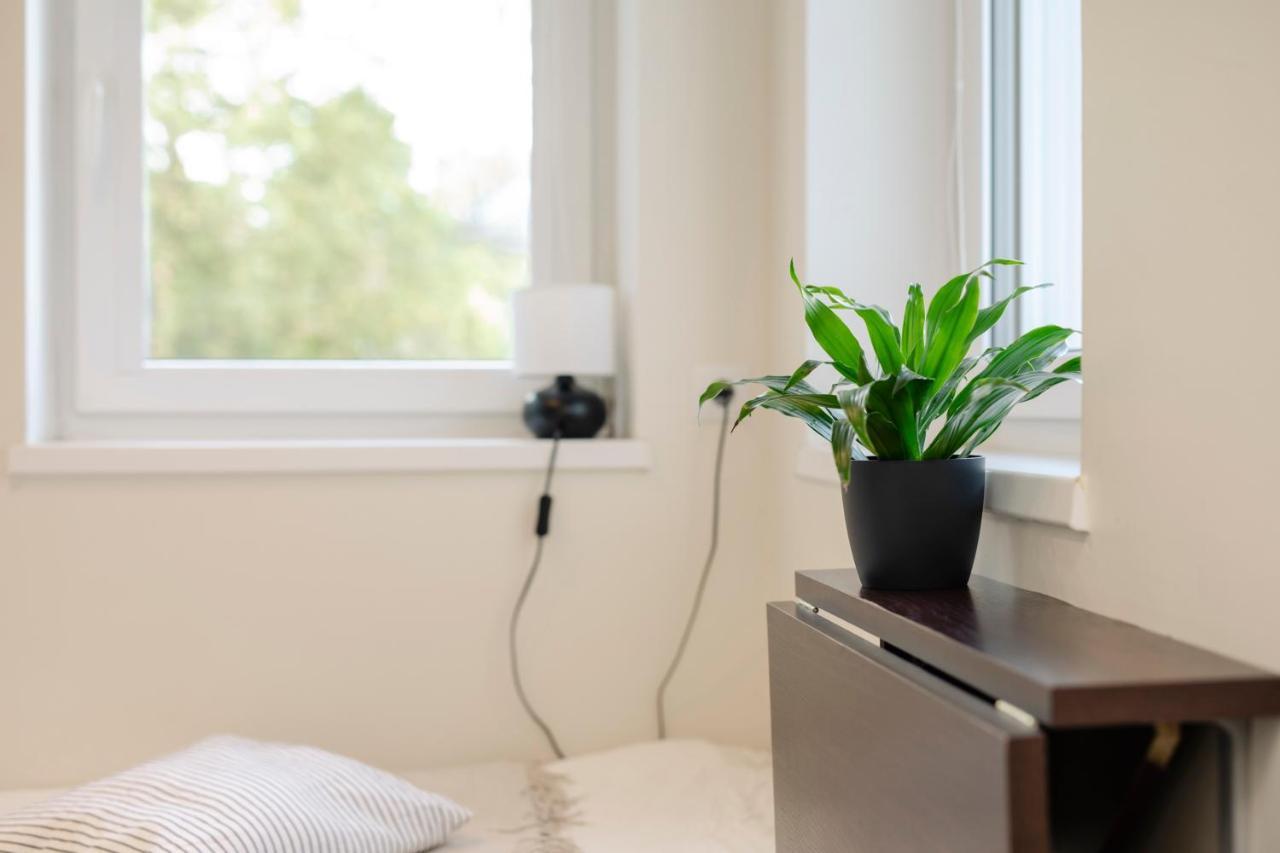 Apartment for One White