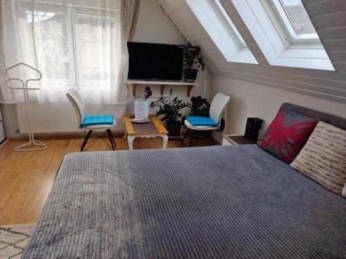 Családi haz - carbon neutral hotel in Budapest
