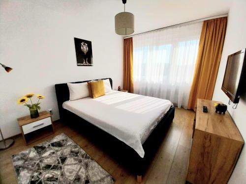 Panoramic City View Apartment — 4-Star Luxury Hotel in Targu-Mures, Romania