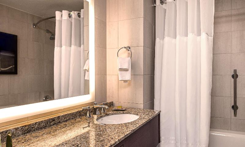 Hilton Anatole - photo 323