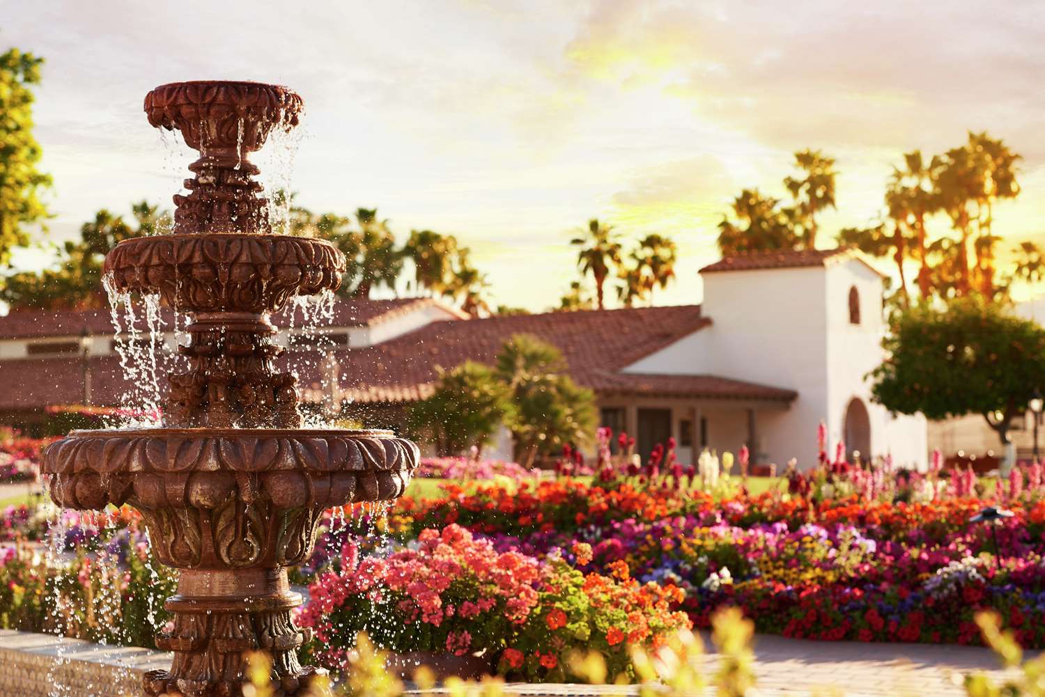 La Quinta Resort & Club Curio Collection by Hilton - photo 24