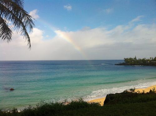 Kalani Hawaii Private Lodging - photo 103