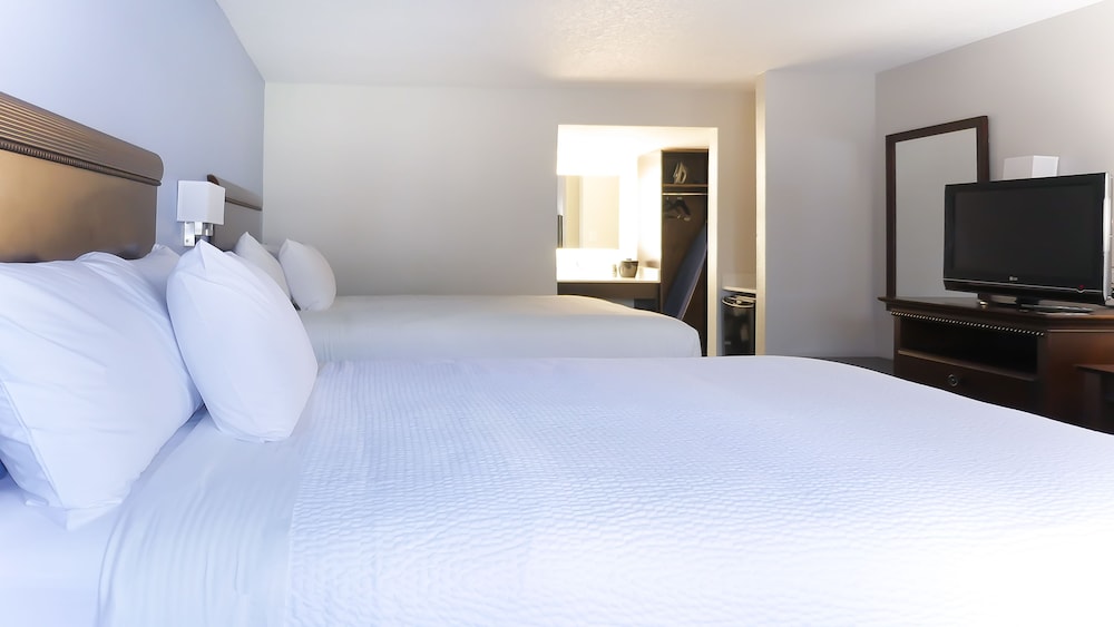 Hotel South Tampa & Suites - photo 6