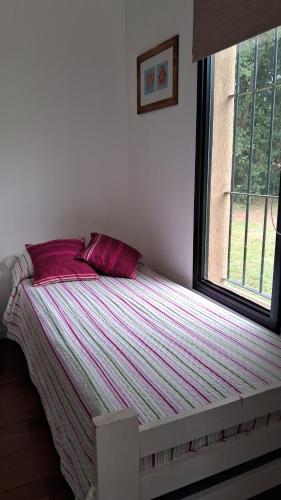 Las moras in San Antonio De Areco, Argentina