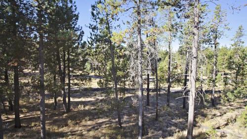 Wallowa 10 - photo 26