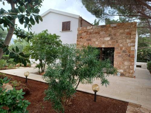 Villa Dracena — Castelluzzo — photo 4