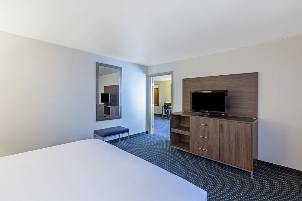 Holiday Inn Express Hotel & Suites Pharr by IHG - photo 13