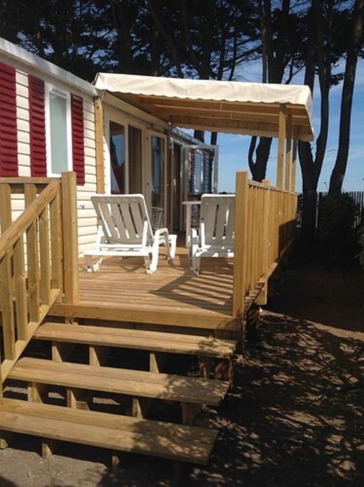 Balbuzard Pecheur in Quiberon, France