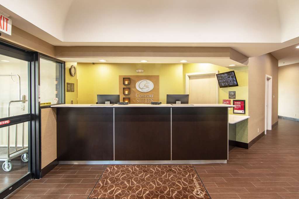 Comfort Suites NW Dallas Near Love Field - photo 8